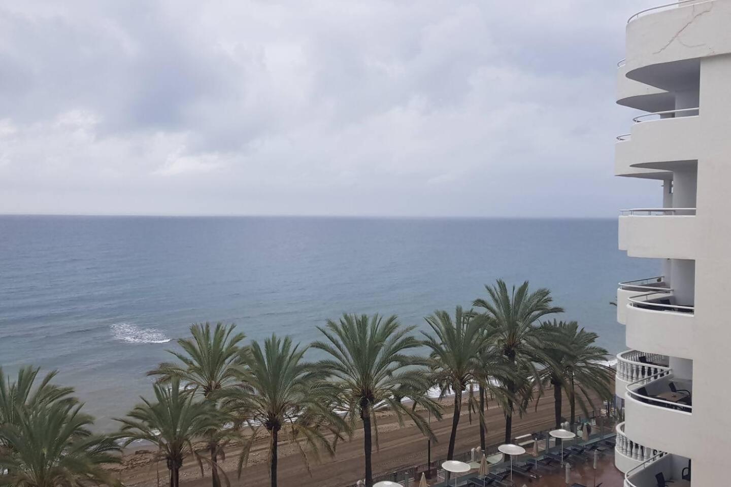 Palm Appartamento